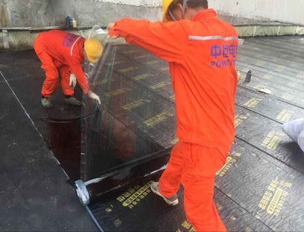 Mechanizm Ubezpieczenia Projektu Wodoodpornego Systemu Serwisowego Zero Wad